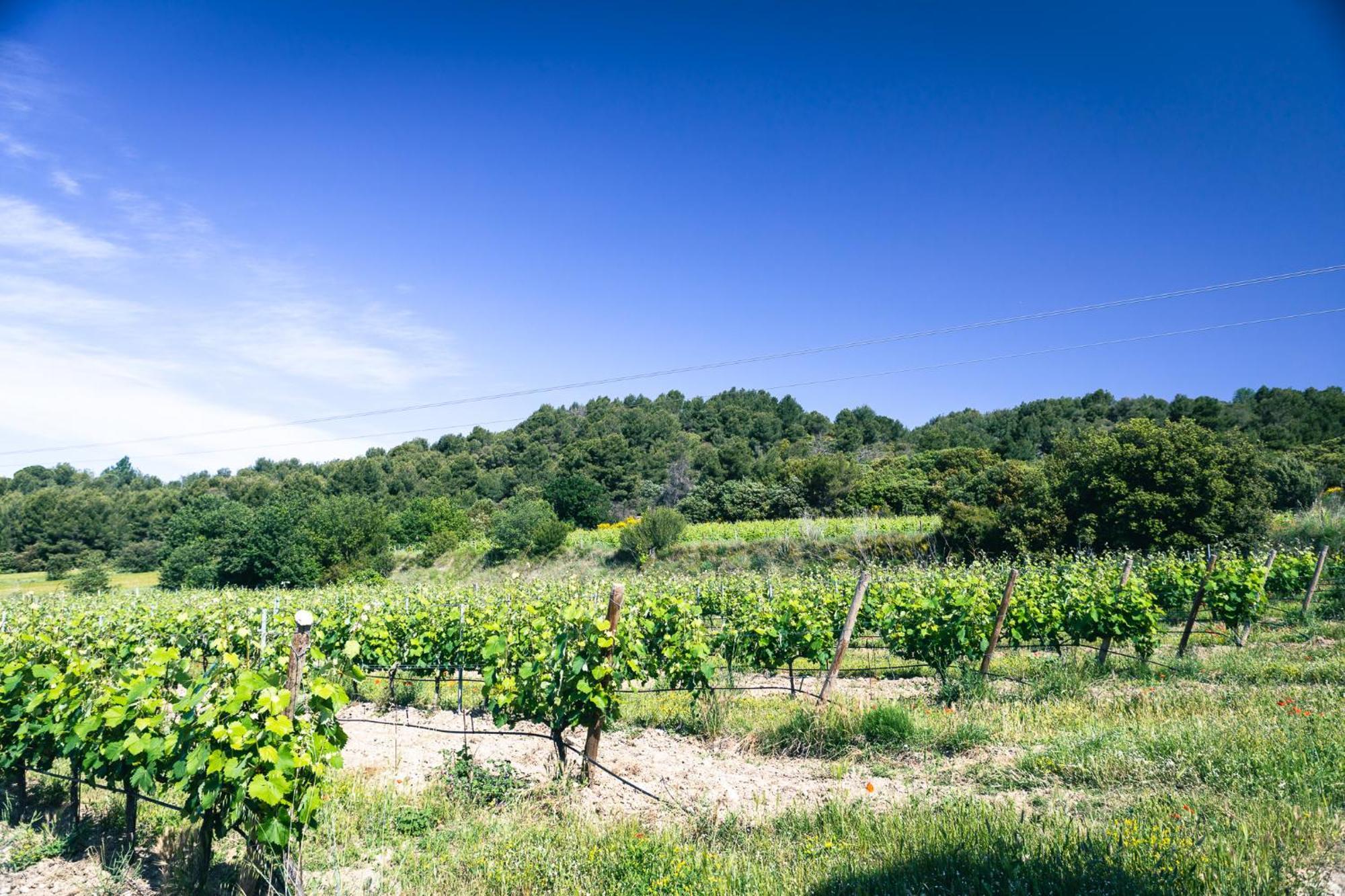 דירות Robion en Luberon Domaine Des Peyre מראה חיצוני תמונה