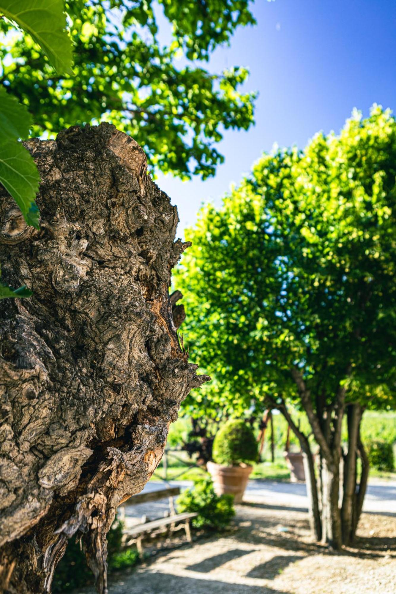דירות Robion en Luberon Domaine Des Peyre מראה חיצוני תמונה