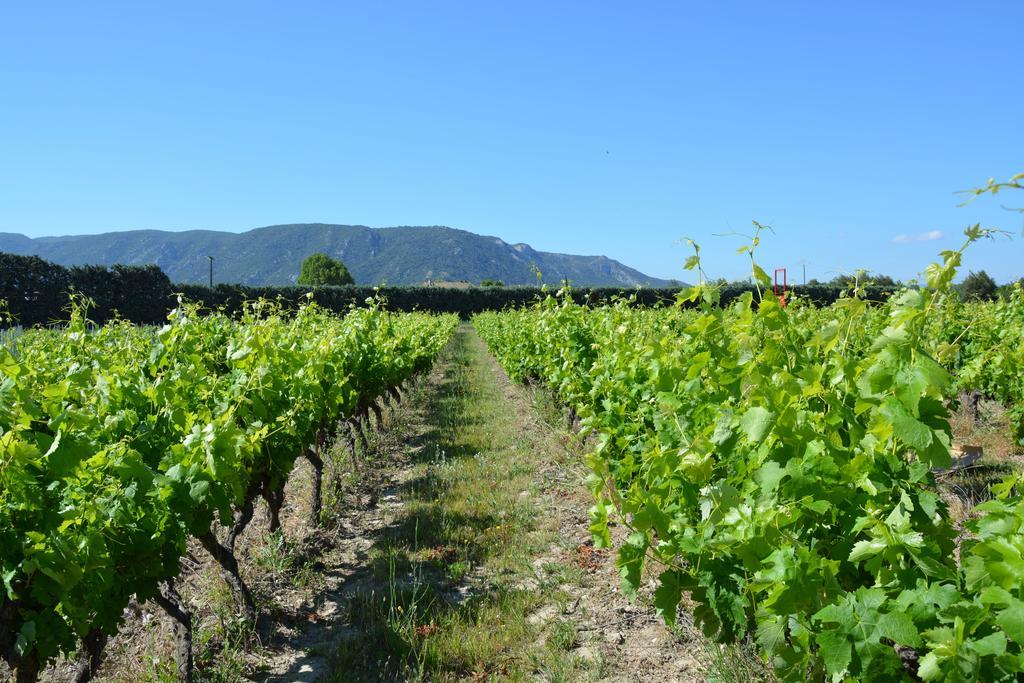 דירות Robion en Luberon Domaine Des Peyre מראה חיצוני תמונה